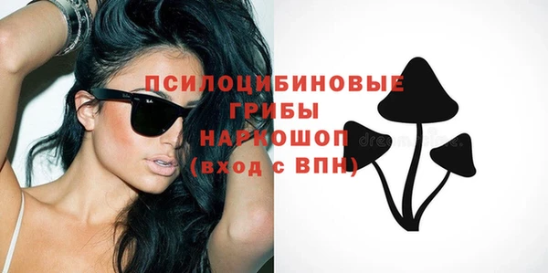 а пвп мука Абаза