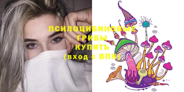а пвп мука Абаза