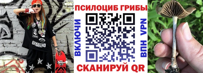 Галлюциногенные грибы Cubensis  shop состав  Ипатово  KRAKEN вход 